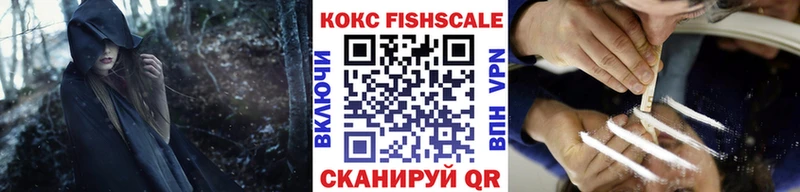 Наркошоп купить ГАШИШ  Каннабис  APVP  АМФ  Псилоцибиновые грибы  МЕФ  Снежногорск