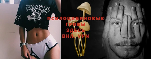 PSILOCYBIN Дмитровск
