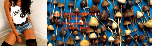 PSILOCYBIN Дмитровск