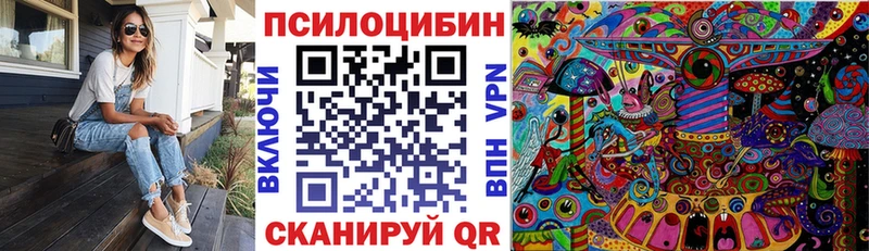 Купить закладки  Снежногорск  Галлюциногенные грибы мицелий 